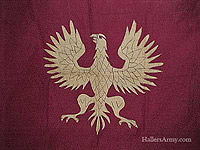 Another Recruiting Flag